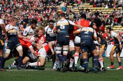 开云体育下载-包含意大利足球场上的纷争不断升级的词条