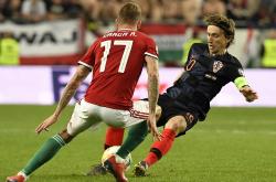 开云体育登录-匈牙利豪取胜利，晋级欧洲杯强