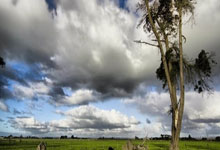 开云体育官方网站-印度队逆转日本队，李梓嘉统治全场