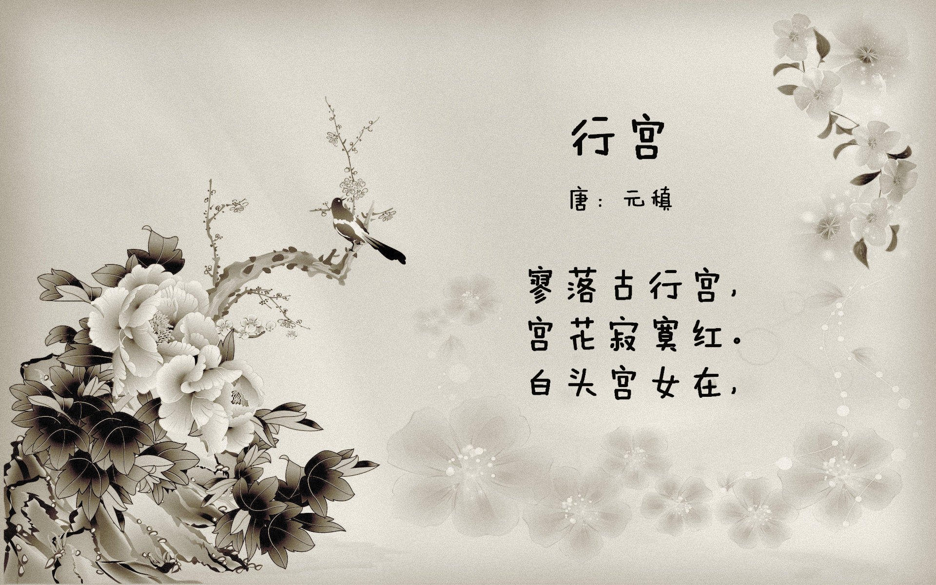 当东方铁骑遭遇美式节奏,德罗赞的掌控力如何定义浙江队与篮网的跨洋对话