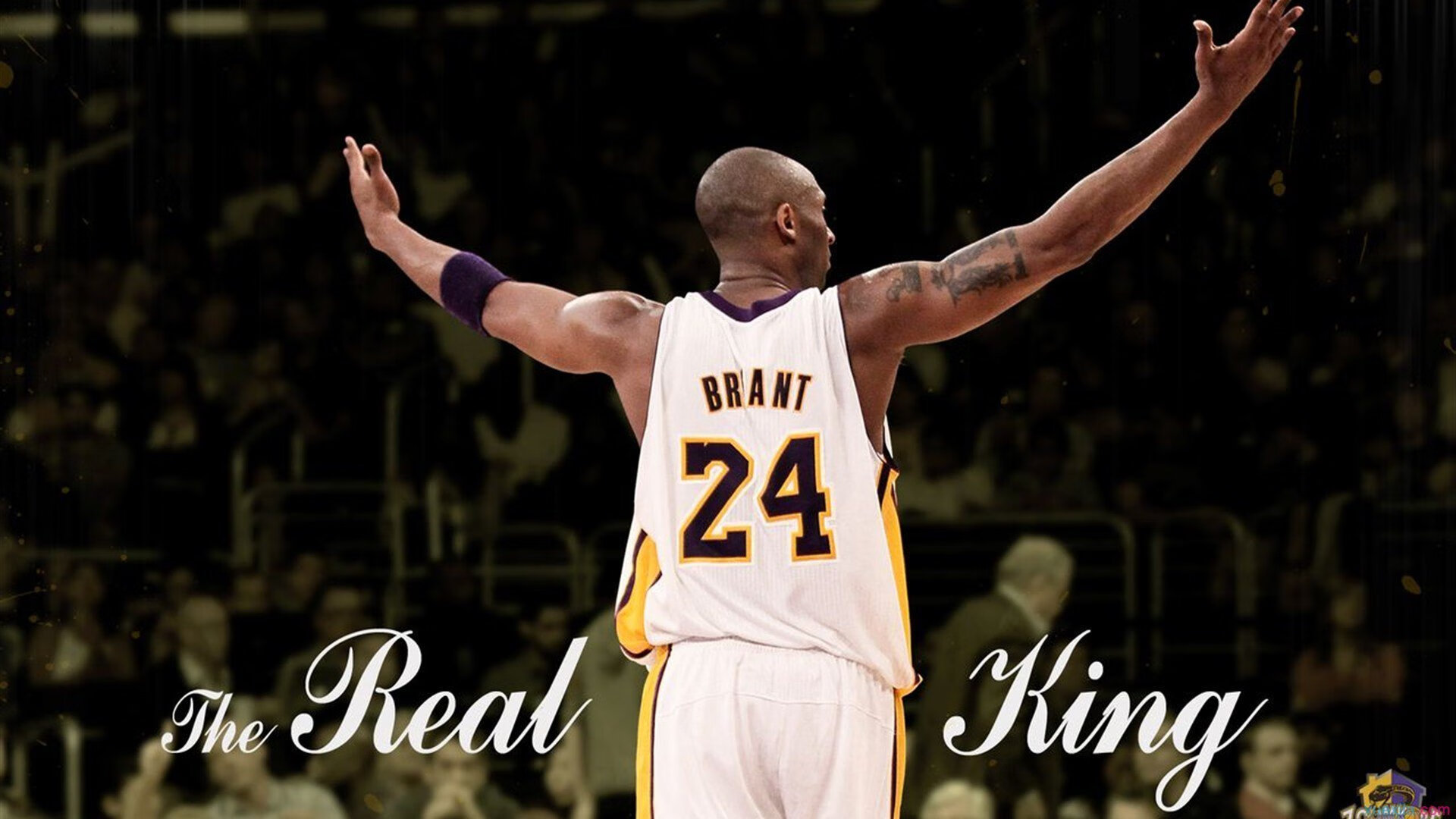 奇才提前终结悬念上海队，切特大场面先生